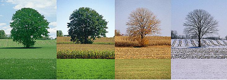 NetherRealm制作人故意泄露了《真人快打12》游戏